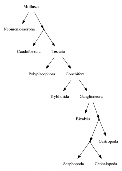 File:Sandbox digraph example3 dot.png